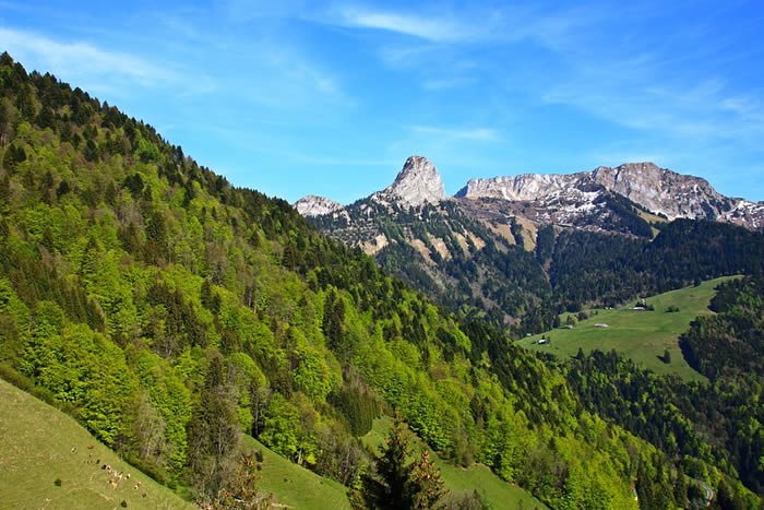 Région des Préalpes Fribourgeoises en Suisse